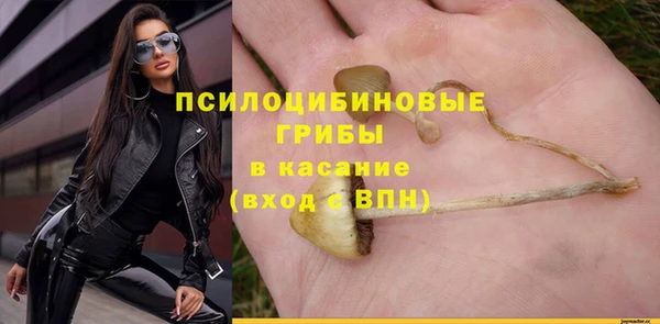 бутират Дмитровск