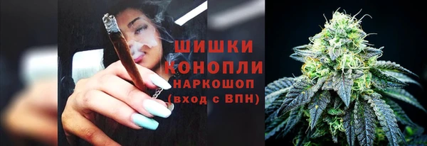 спиды Ельня