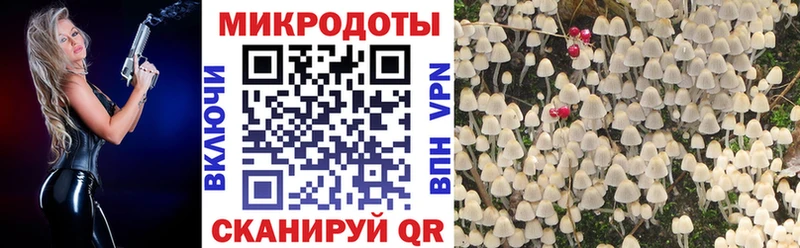 Псилоцибиновые грибы MAGIC MUSHROOMS  Острогожск 