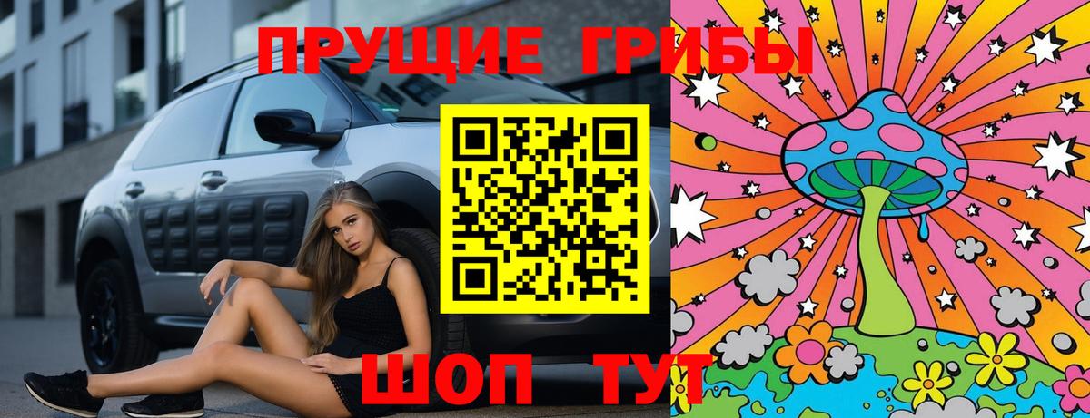 Псилоцибиновые грибы Psilocybe Острогожск