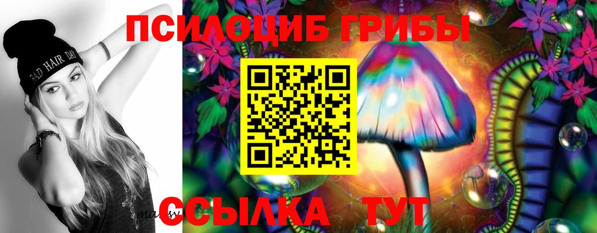 Острогожск  Галлюциногенные грибы мицелий  Вход с VPN  Галлюциногенные грибы мицелий 